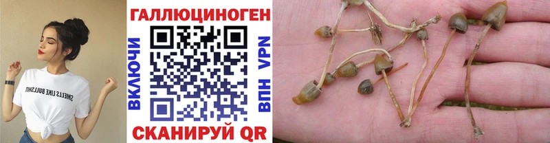 Псилоцибиновые грибы Magic Shrooms  даркнет сайт  Губаха 