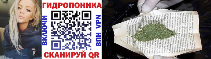 blacksprut   Губаха  Каннабис семена  что такое  